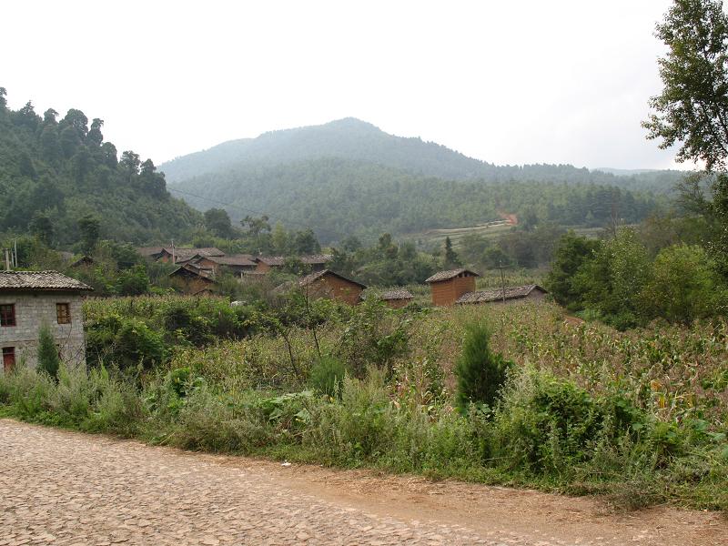 上小河村(雲南會澤縣魯納鄉下轄村)