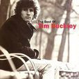 蒂姆·巴克利(Tim Buckley)