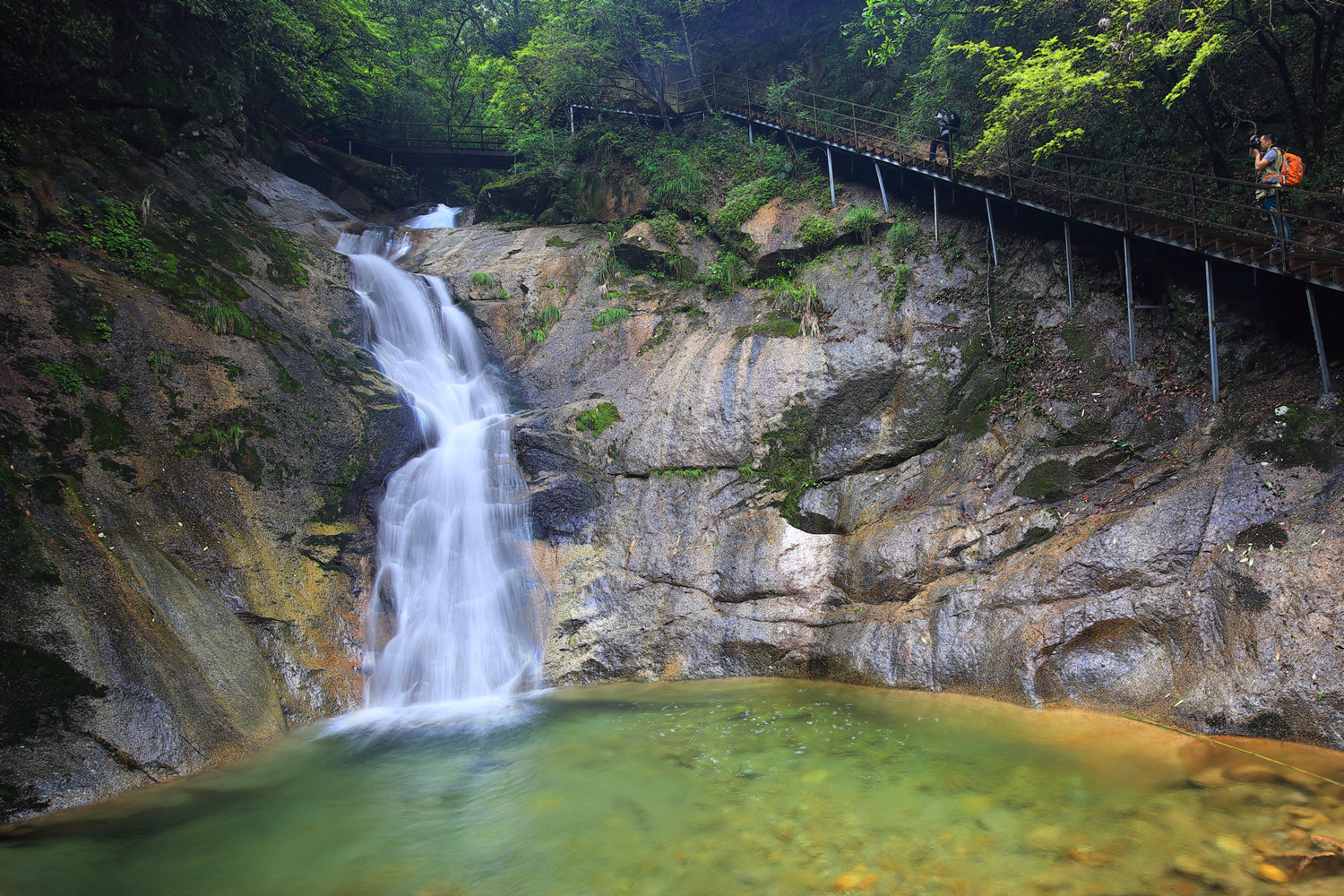 醉山野