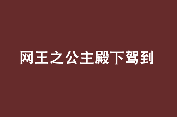 網王之公主殿下駕到