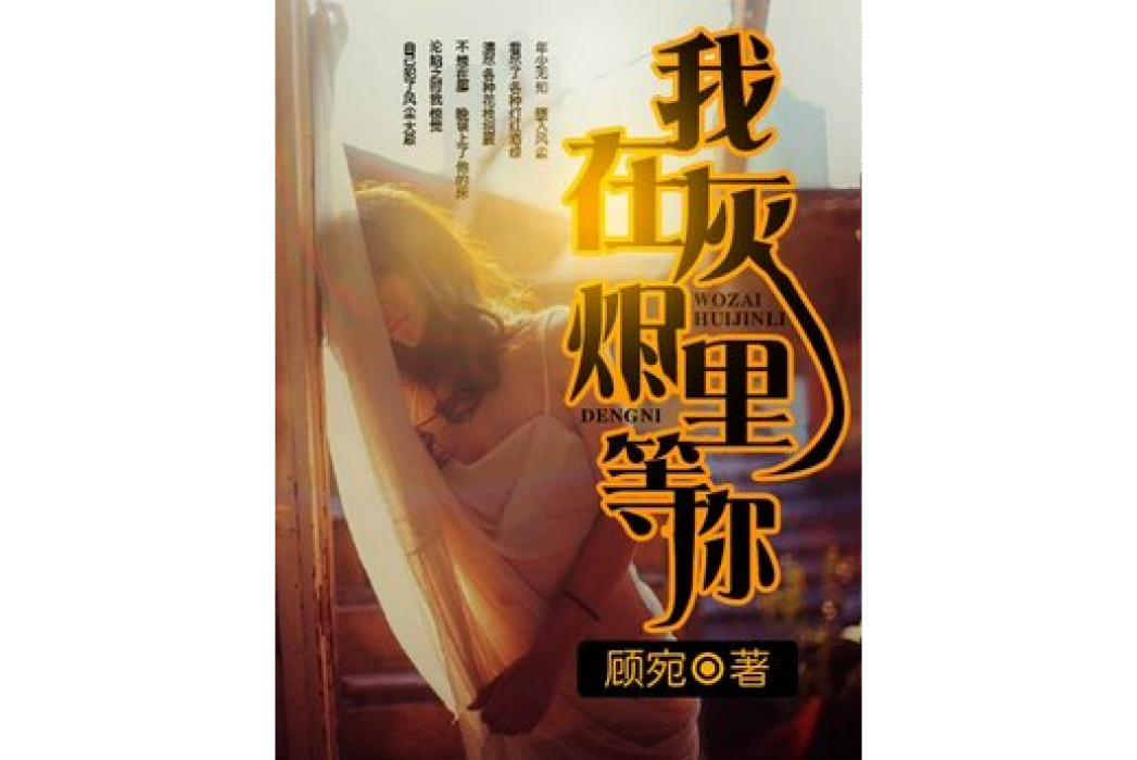 我在灰燼里等你(顧宛所著小說)