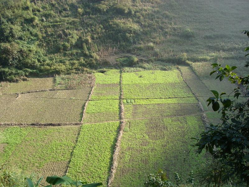 孔家坪自然村