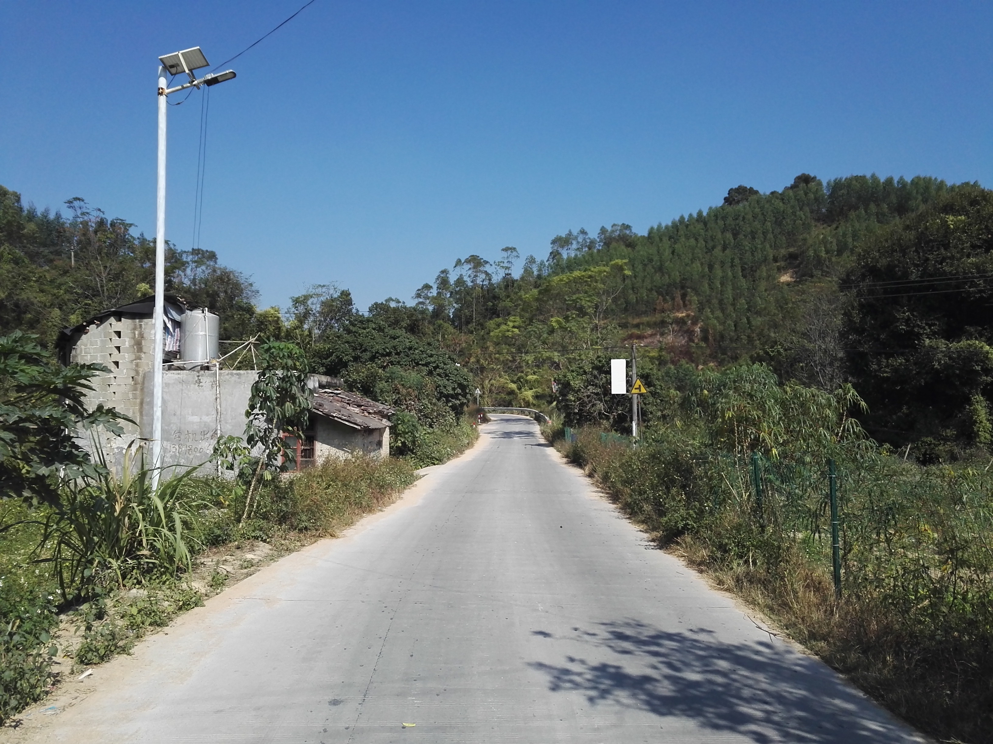 林桂村境內亭子分路—大垌公路（Y019，019鄉道）