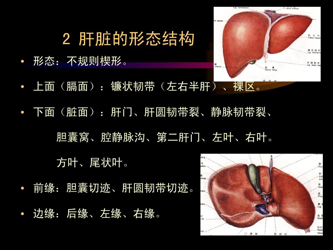 髒面