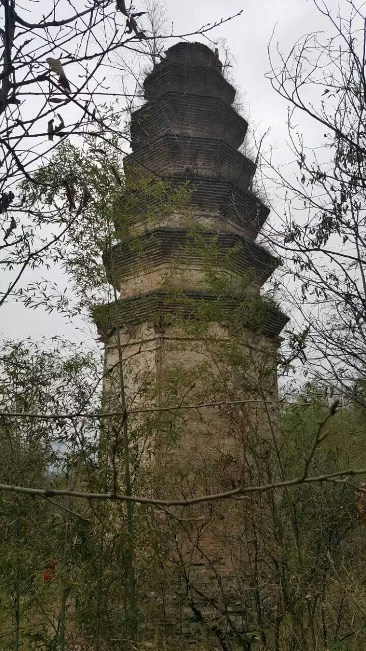 法雲寺塔(河南省南陽市法雲寺塔)