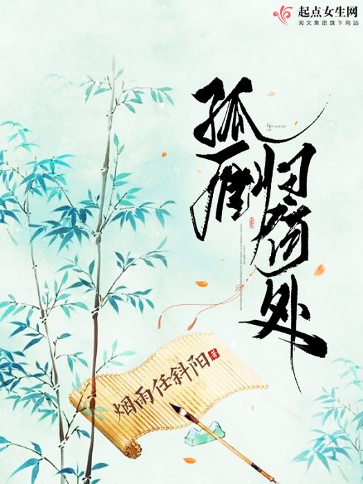 孤雁歸何處