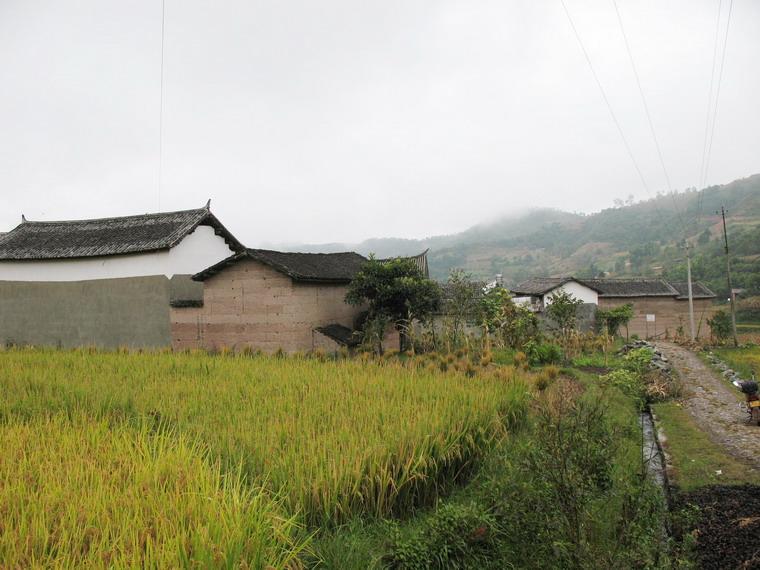 茂盛江村