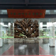 中國湖州古木博物館