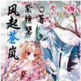 風起蒼嵐(罌魅離著小說)