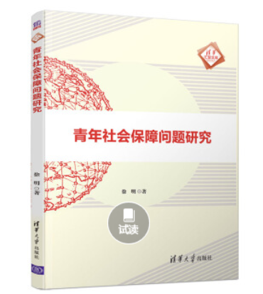 清華匯智文庫：青年社會保障問題研究