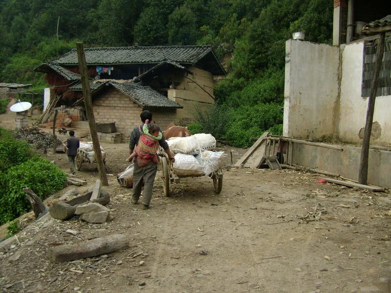 村內道路