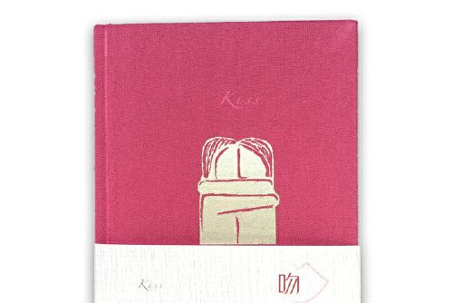 吻(2016年中國青年出版社出版的圖書)