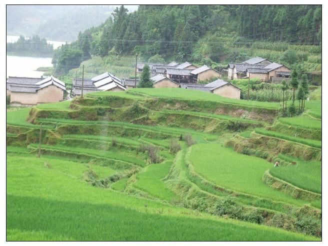 大山坡村