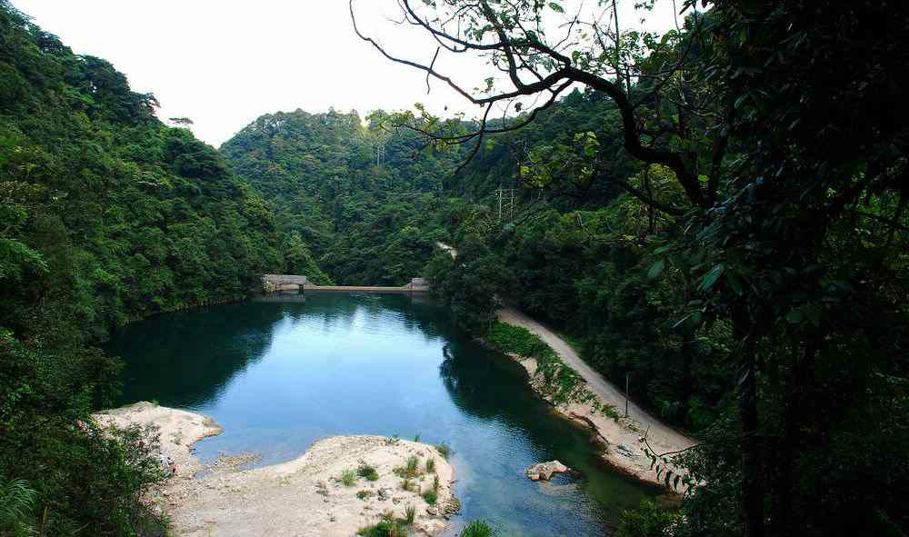 廣東天井山國家森林公園