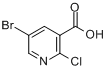 5-溴-2-氯煙酸