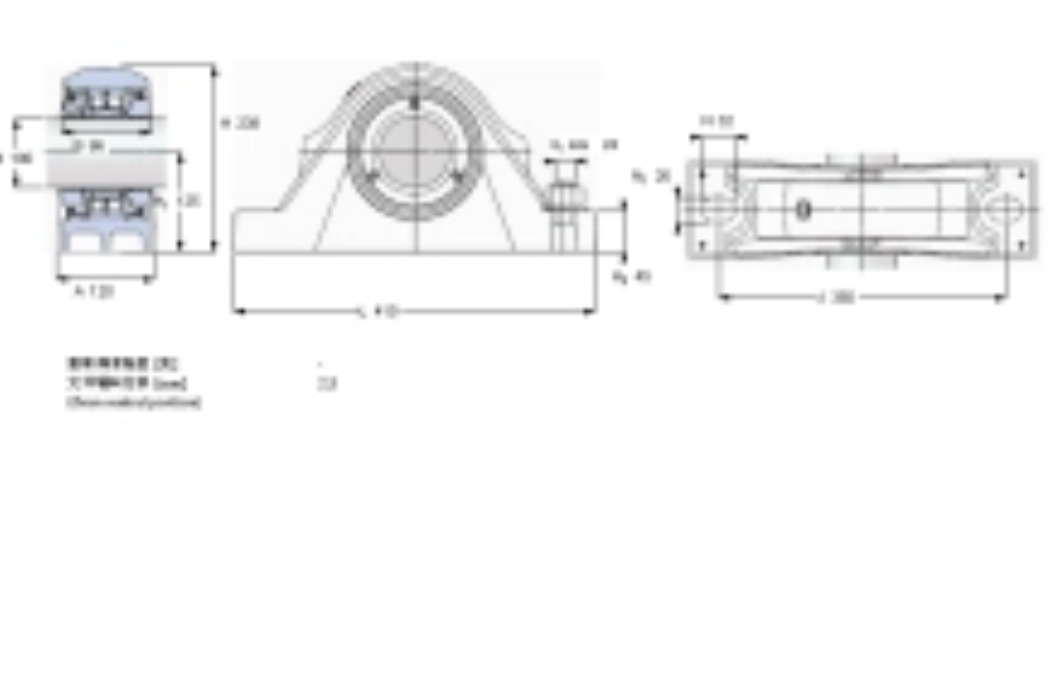 SKF SYNT100LW軸承