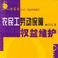 農民工勞動保障權益維護(2003年中國勞動社會保障出版社出版的圖書)