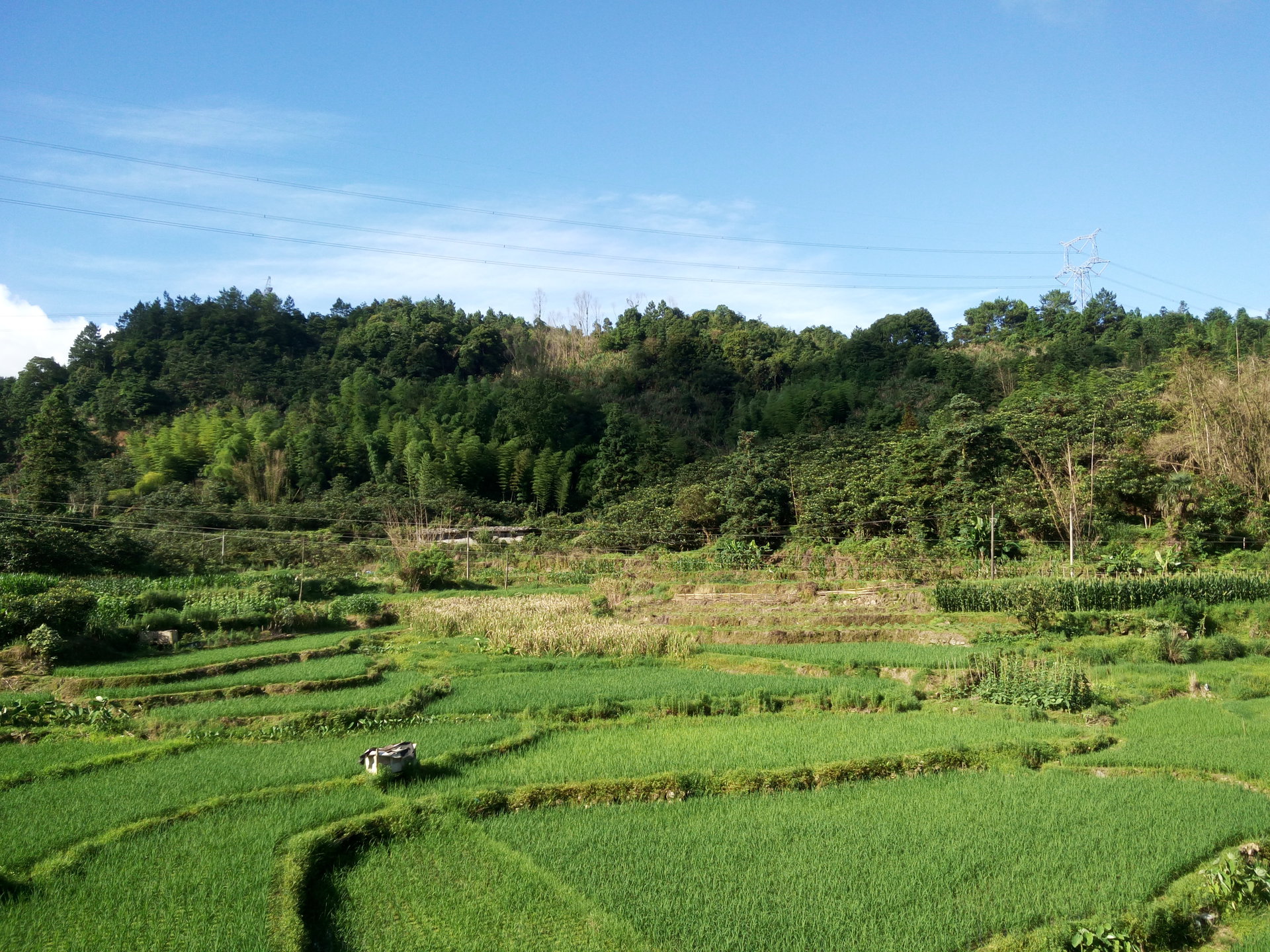 大賢村(莆田市涵江區新縣鎮大賢村)