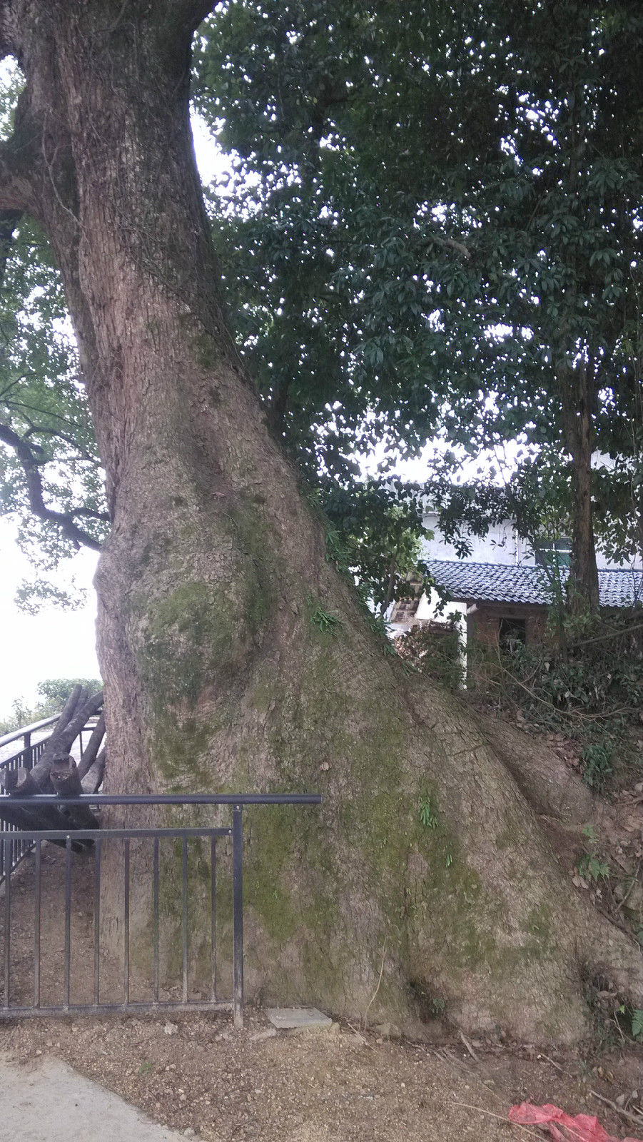 車田村(湖北省通山縣車田村)