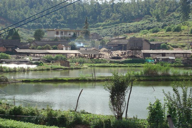 跌馬河自然村