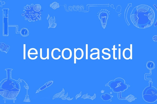 leucoplastid