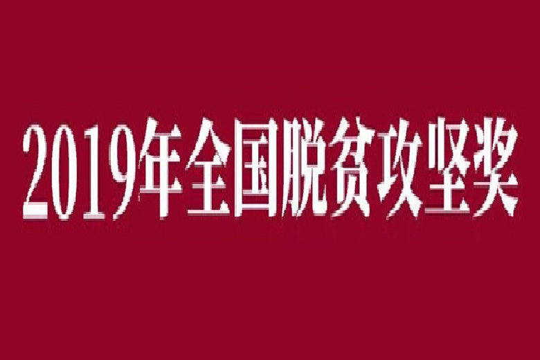 2019年全國脫貧攻堅獎