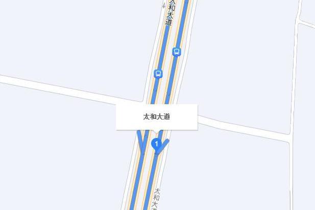 太和大道(眉山市東坡區境內道路)