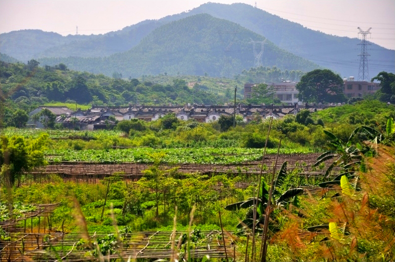 老東坑村