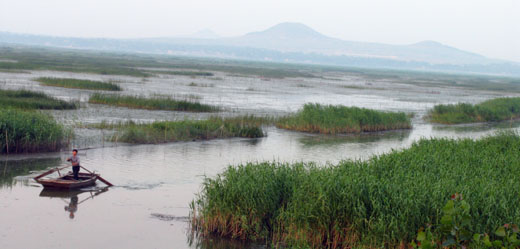 東平湖濕地