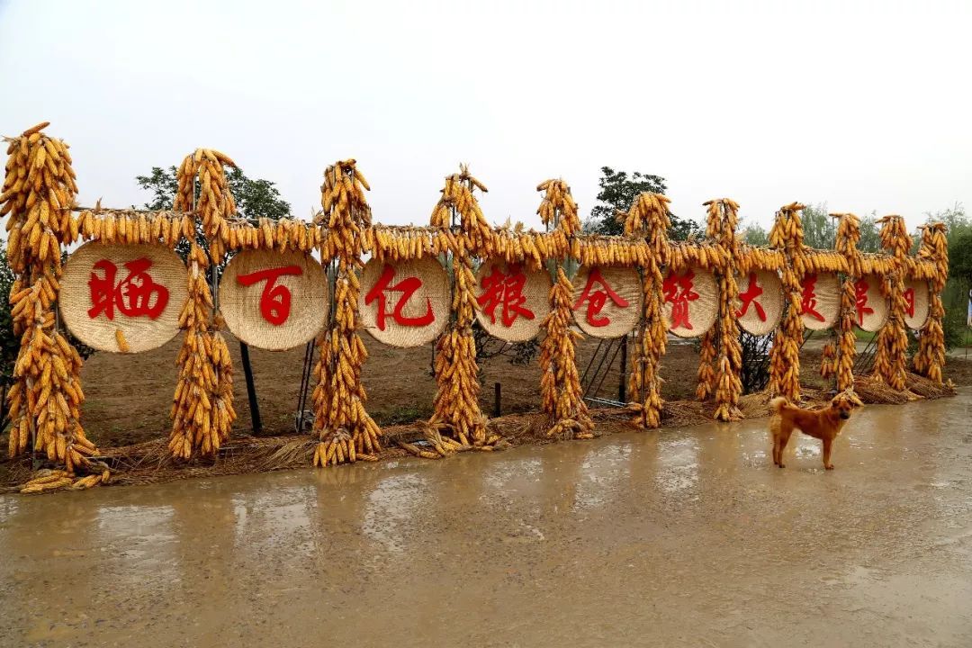 中國農民豐收節阜陽慶祝活動