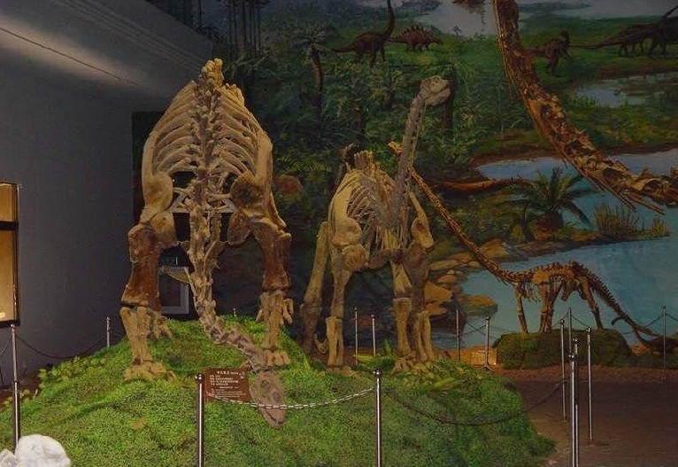 南雄恐龍博物館