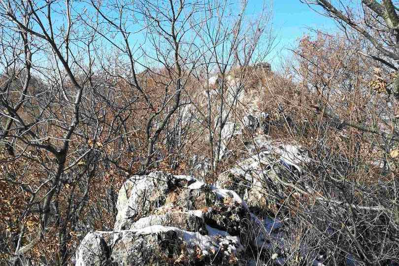 大荒山(長白山系吉林哈達嶺下的山脈)