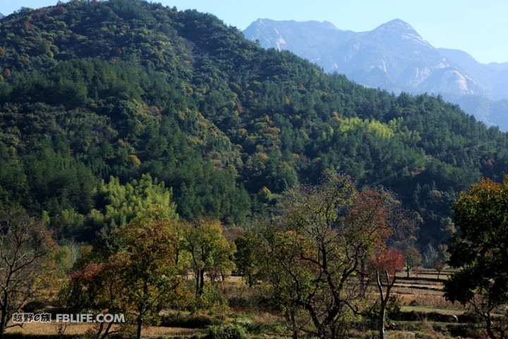 簰形灣村