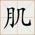 肌(漢語文字)