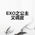 EXO之公主又調皮