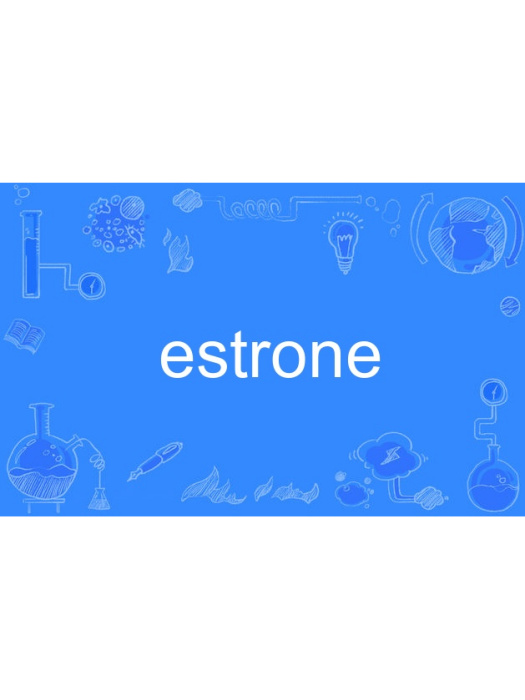 estrone