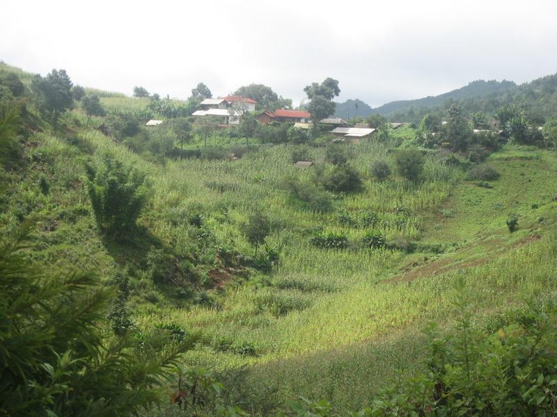 滿坎小新寨村