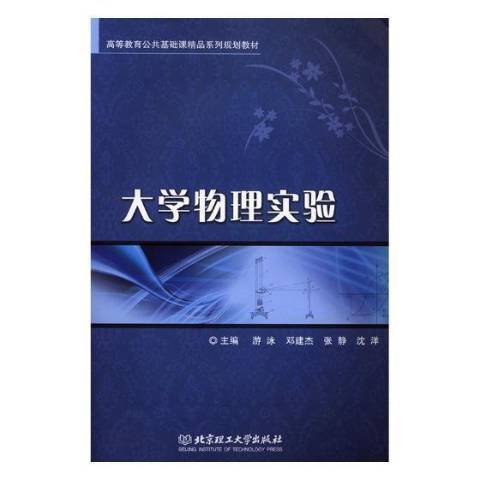 大學物理實驗(2019年北京理工大學出版社出版的圖書)