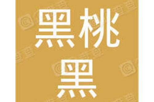 深圳黑桃黑科技有限公司