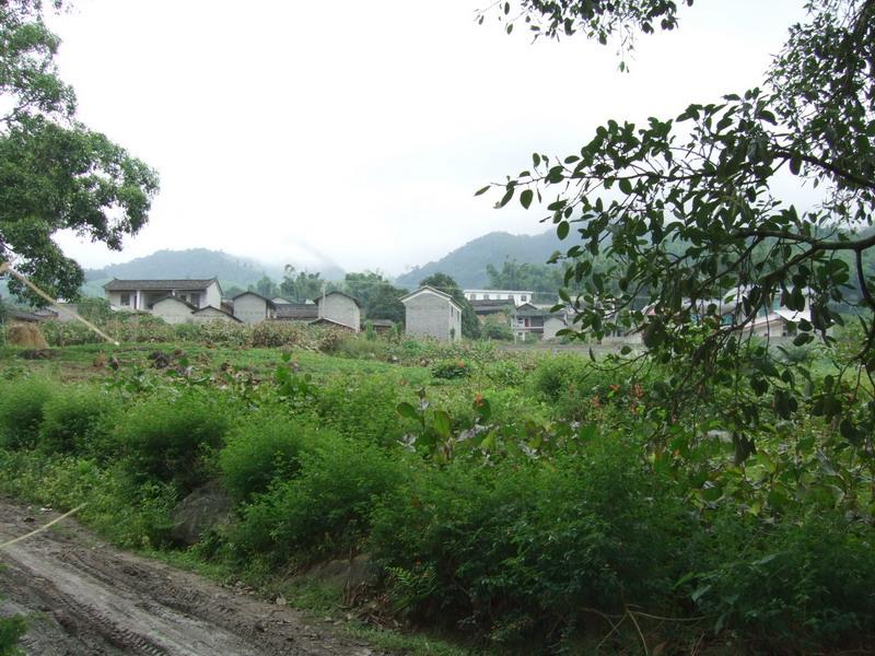 麻連山村