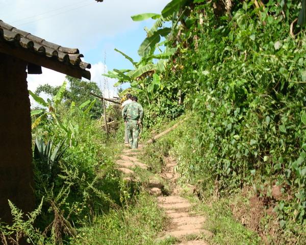 文甸自然村(雲南省普洱景谷縣永平鎮費竜村文甸自然村)