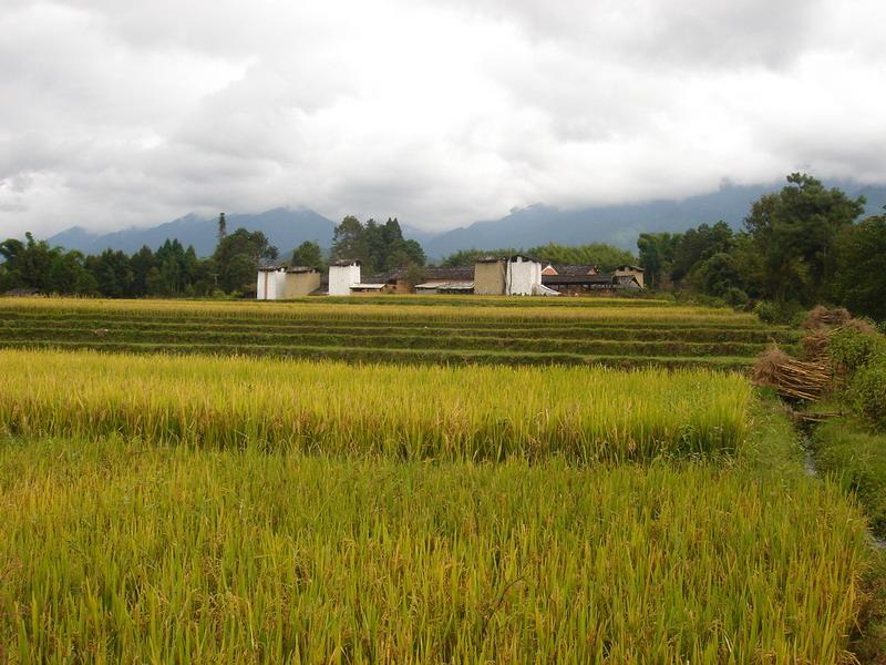 松園頭自然村