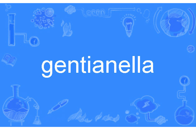 gentianella
