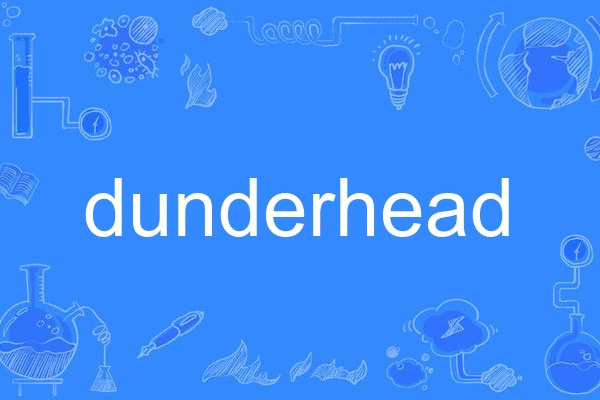 dunderhead