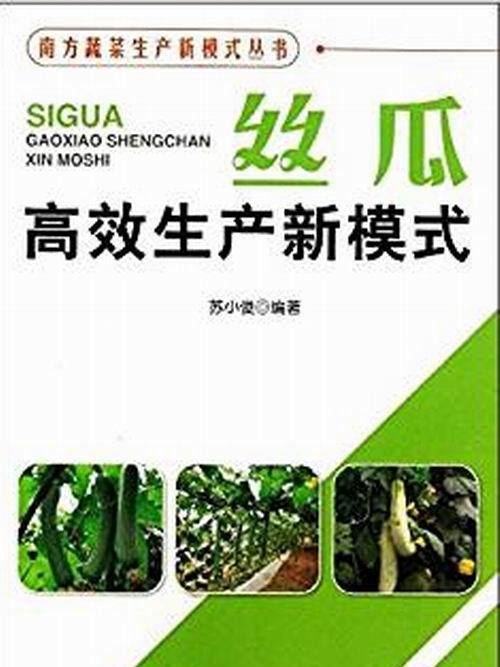 絲瓜高效生產新模式