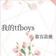 我的tfboys