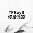 TFBoyS你是偶的