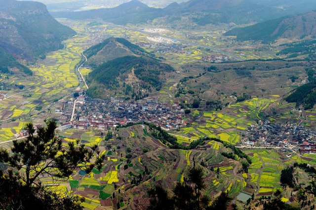 仙居村(浙江省泰順縣仙稔鄉下轄村)