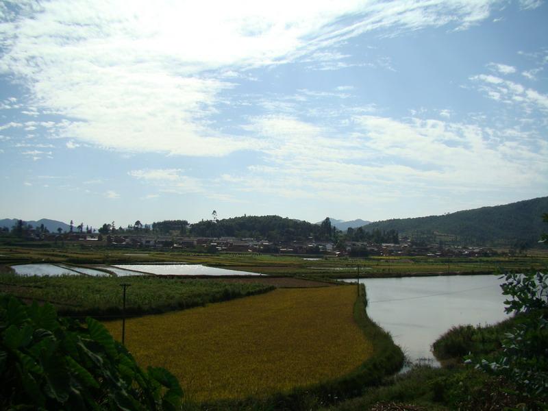 楊梅田村(雲南省保山龍陵縣碧寨鄉下轄村)