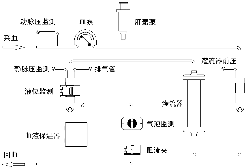 血液灌流示意圖